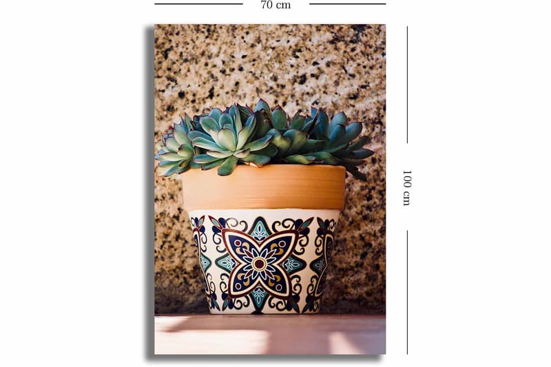 Lerretsbilde 70x100 cm - Potte med sukkulenter i dekorativt design - Grønn / Terrakotta / Svart - Innredning - Bilder & kunst - Lerretsbilder