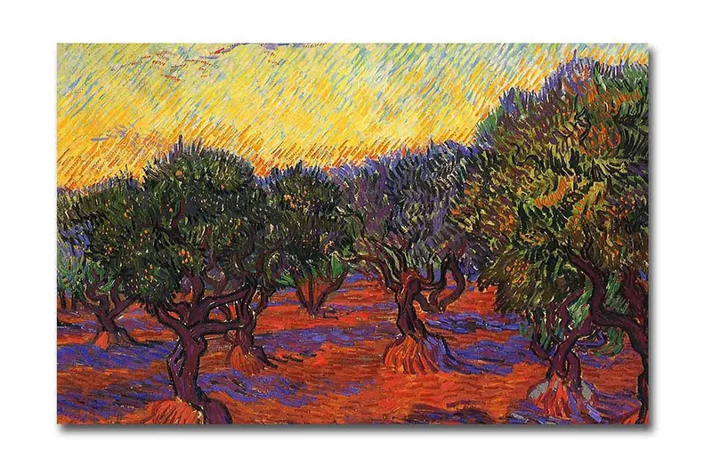 Lerretsbilde 70x45 cm - Olivenlund under en fargerik himmel - Grønn / Oransje / Lilla - Innredning - Bilder & kunst - Lerretsbilder