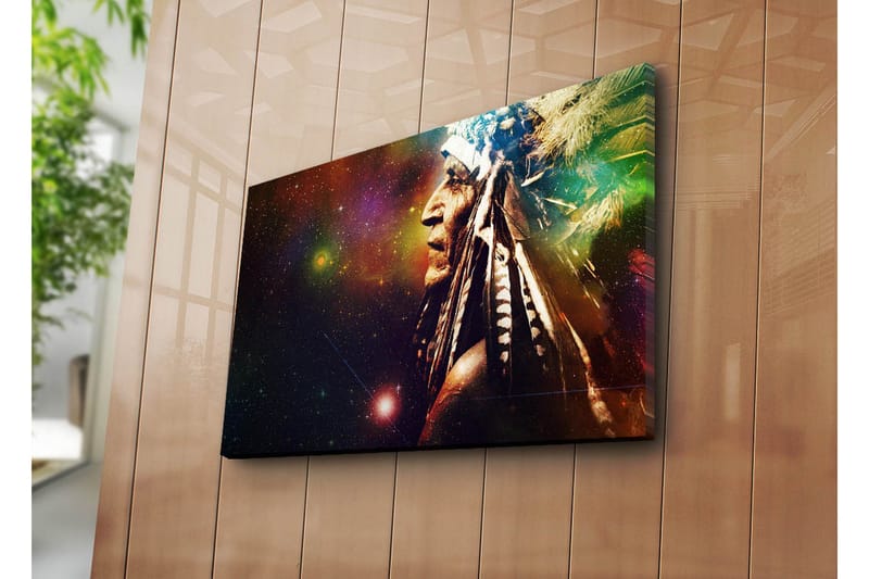 Lerretsbilde 70x45 cm - Portrett av en indianer med fjær og stjernehimmel bakgrunn - Mørk brun / Grønn / Lilla - Innredning - Bilder & kunst - Lerretsbilder