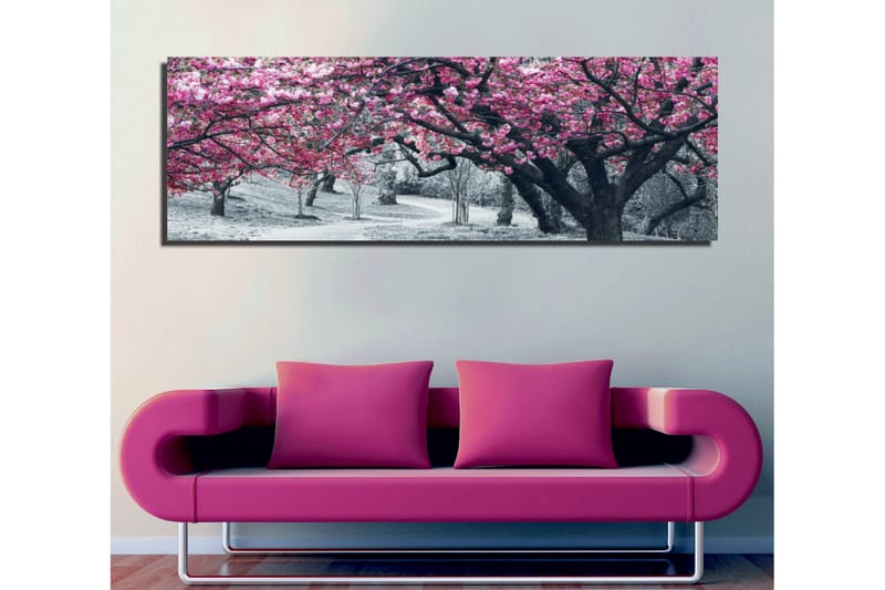 Lerretsbilde 80x30 cm - Blomstrende kirsebærtrær i svart-hvitt landskap - Rosa / Svart - Innredning - Bilder & kunst - Lerretsbilder