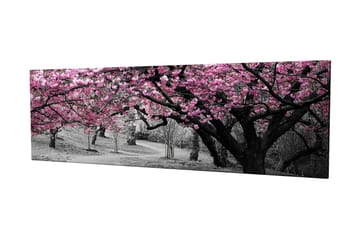 Lerretsbilde 80x30 cm - Blomstrende kirsebærtrær i svart-hvitt landskap - Rosa / Svart - Innredning - Bilder & kunst - Lerretsbilder