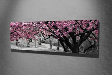 Lerretsbilde 80x30 cm - Blomstrende kirsebærtrær i svart-hvitt landskap - Rosa / Svart - Innredning - Bilder & kunst - Lerretsbilder