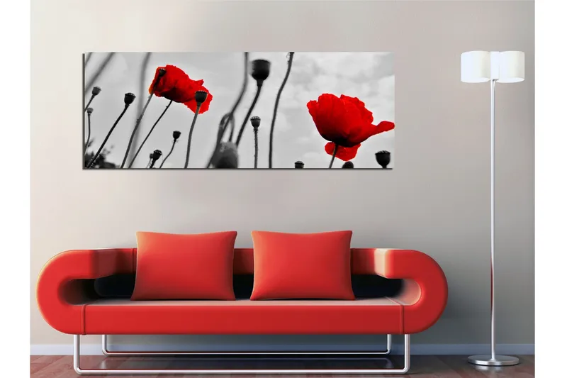 Lerretsbilde 80x30 cm - Rød valmue mot svart og hvit bakgrunn - Rød / Svart / Grå - Innredning - Bilder & kunst - Lerretsbilder