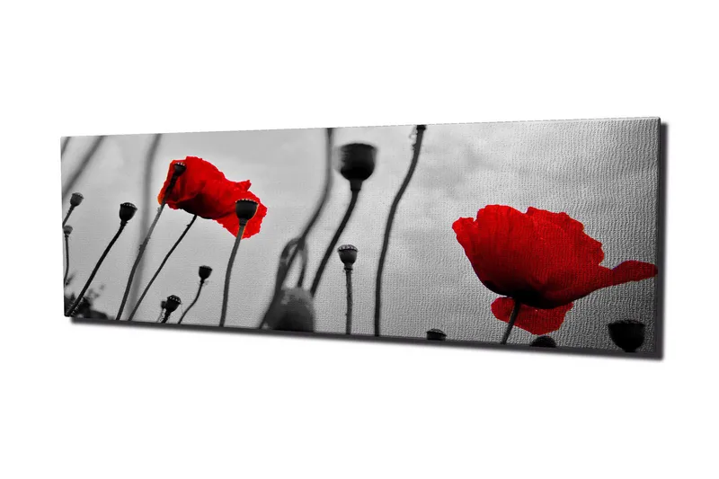 Lerretsbilde 80x30 cm - Rød valmue mot svart og hvit bakgrunn - Rød / Svart / Grå - Innredning - Bilder & kunst - Lerretsbilder