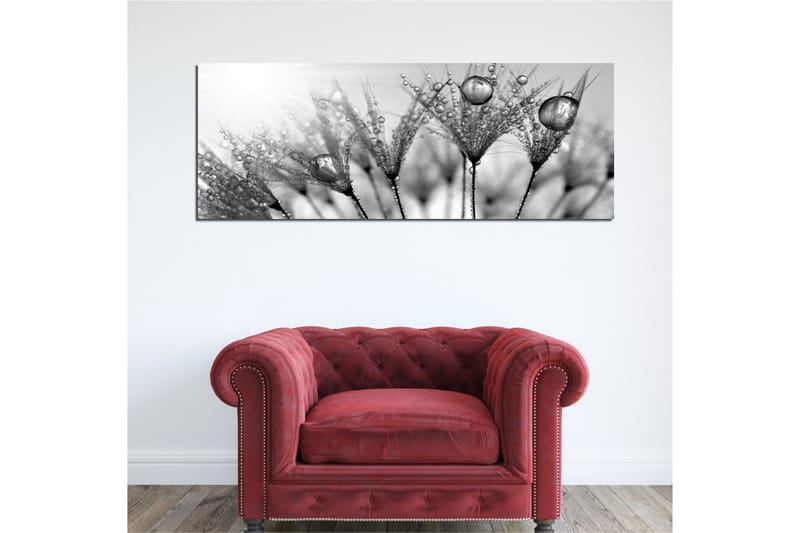 Lerretsbilde 80x30 cm - Svart-hvitt bilde av vanndråper på fjær - Svart / Hvit / Grå - Innredning - Bilder & kunst - Lerretsbilder