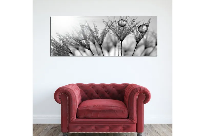 Lerretsbilde 80x30 cm - Svart-hvitt bilde av vanndråper på fjær - Svart / Hvit / Grå - Innredning - Bilder & kunst - Lerretsbilder