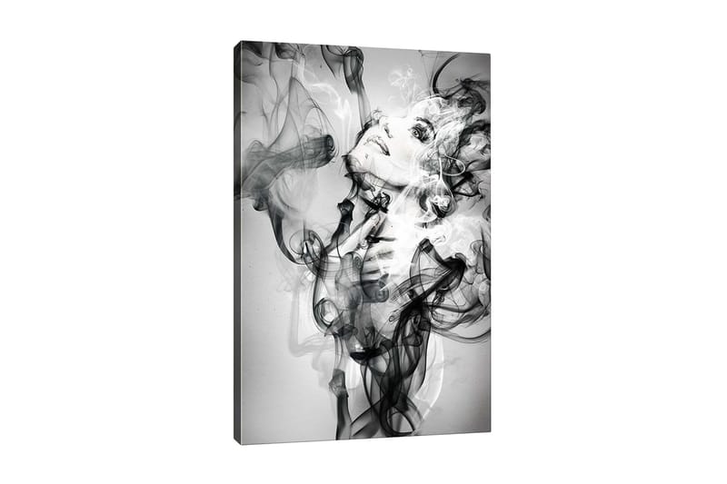 Lerretsbilde - Abstrakt portrett av en kvinne omgitt av røykfylte former, Svart / Hvit / Grå