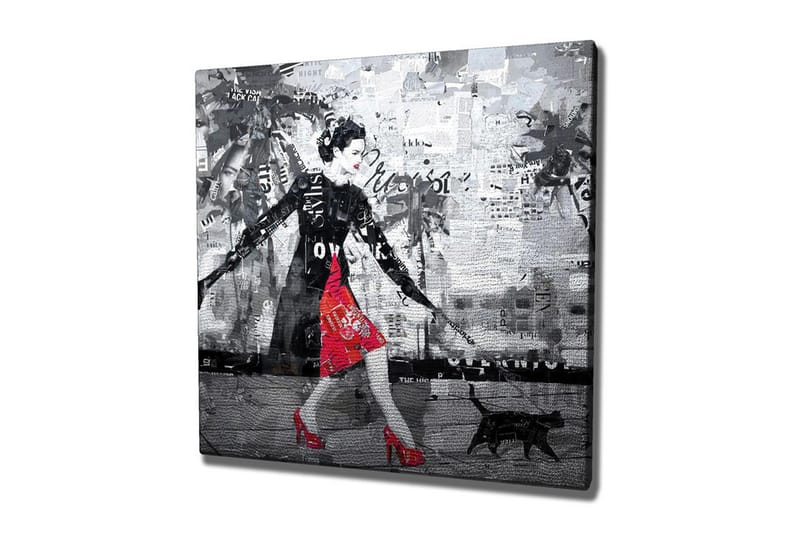 Lerretsbilde - Elegant kvinne i rød kjole med svart katt i urbane omgivelser, Rød / Svart / Grå