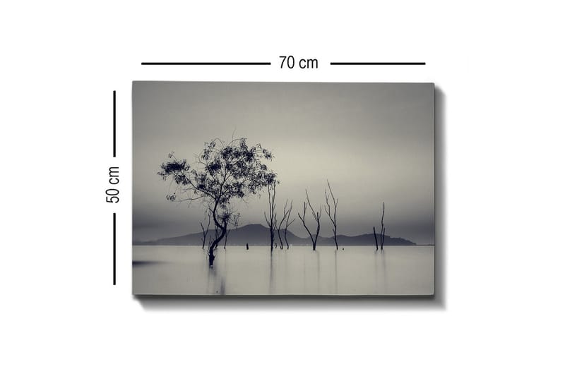 Lerretsbilde - Ensomt tre i tåkete vannlandskap - Svart / Grå / Hvit - Innredning - Bilder & kunst - Lerretsbilder