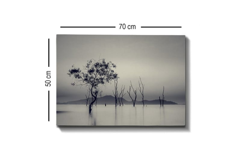 Lerretsbilde - Ensomt tre i tåkete vannlandskap - Svart / Grå / Hvit - Innredning - Bilder & kunst - Lerretsbilder