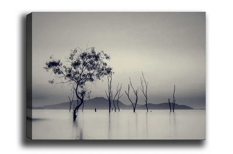 Lerretsbilde - Ensomt tre i tåkete vannlandskap, Svart / Grå / Hvit