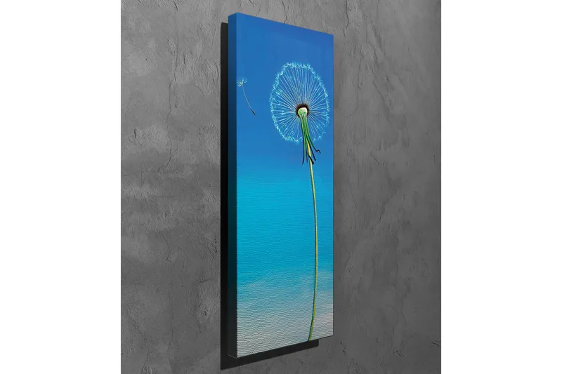 Lerretsbilde - Følfot med blå bakgrunn - Blå / Grønn / Hvit - Innredning - Bilder & kunst - Lerretsbilder