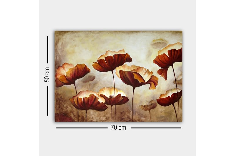 Lerretsbilde - Fargerik blomstereng med store, åpne blomster - Mørk rød / Oransje / Beige - Innredning - Bilder & kunst - Lerretsbilder