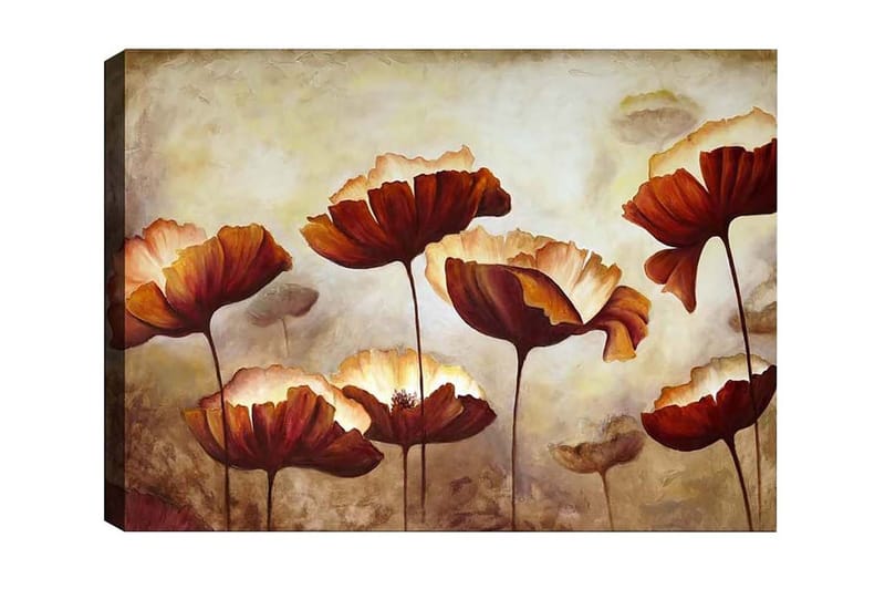 Lerretsbilde - Fargerik blomstereng med store, åpne blomster, Mørk rød / Oransje / Beige