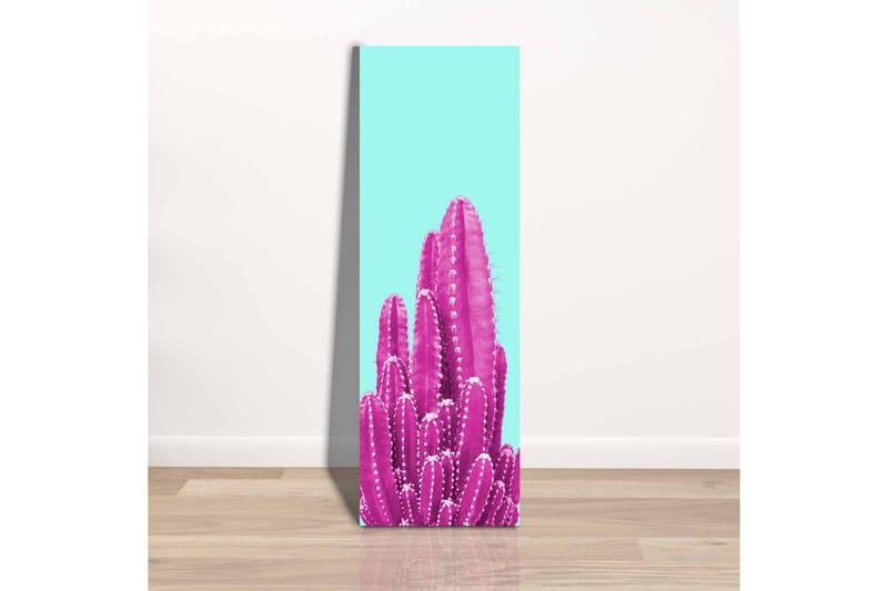 Lerretsbilde - Fargerik kaktus mot en lyseblå bakgrunn - Lys blå / Rosa - Innredning - Bilder & kunst - Lerretsbilder