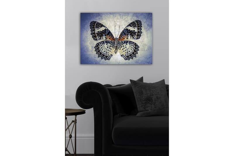 Lerretsbilde - Fargerik sommerfugl med detaljerte vinger - Blå / Svart / Oransje - Innredning - Bilder & kunst - Lerretsbilder