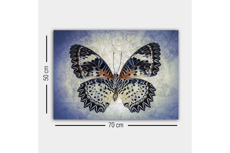 Lerretsbilde - Fargerik sommerfugl med detaljerte vinger - Blå / Svart / Oransje - Innredning - Bilder & kunst - Lerretsbilder