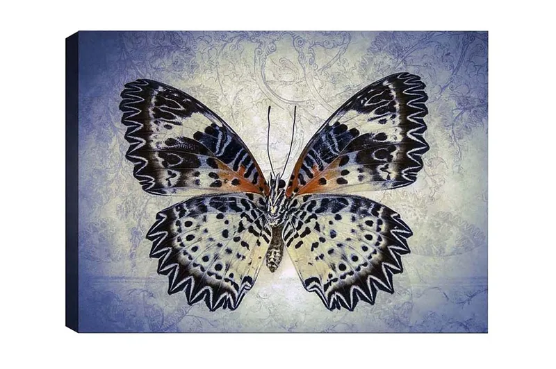 Lerretsbilde - Fargerik sommerfugl med detaljerte vinger, Blå / Svart / Oransje