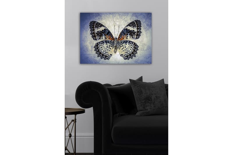 Lerretsbilde - Fargerik sommerfugl med detaljerte vinger - Blå / Svart / Oransje - Innredning - Bilder & kunst - Lerretsbilder