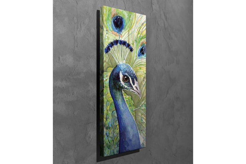 Lerretsbilde - Fargerik påfugl med utsmykket fjærdrakt - Blå / Grønn / Svart - Innredning - Bilder & kunst - Lerretsbilder