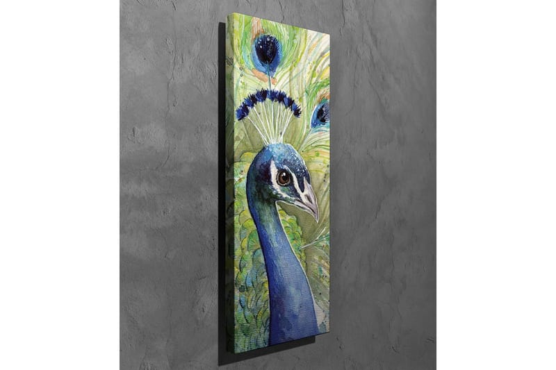 Lerretsbilde - Fargerik påfugl med utsmykket fjærdrakt - Blå / Grønn / Svart - Innredning - Bilder & kunst - Lerretsbilder
