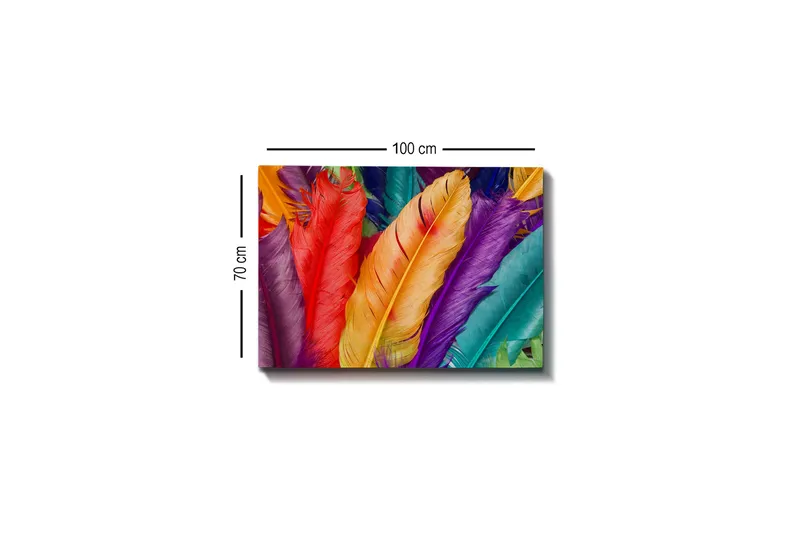 Lerretsbilde - Fargerike fjær i forskjellige nyanser - Rød / Lilla / Oransje - Innredning - Bilder & kunst - Lerretsbilder