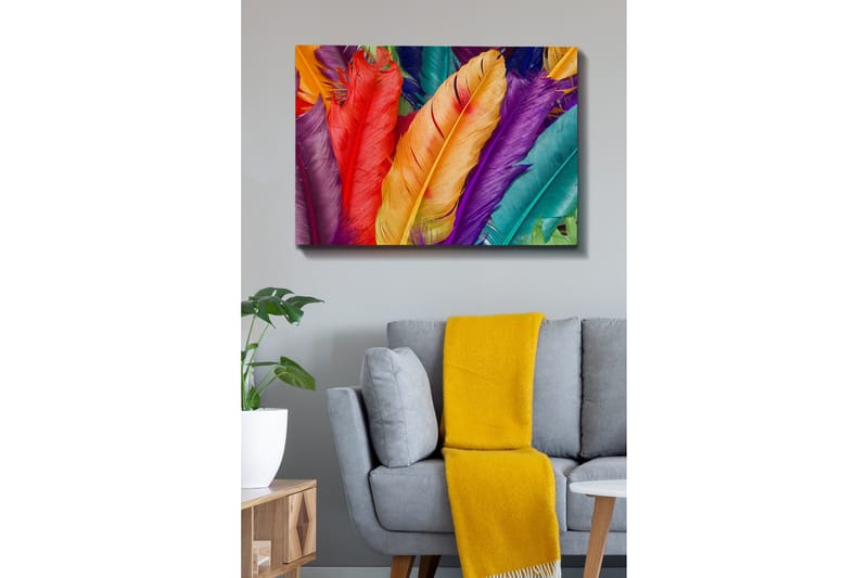 Lerretsbilde - Fargerike fjær i forskjellige nyanser - Rød / Lilla / Oransje - Innredning - Bilder & kunst - Lerretsbilder
