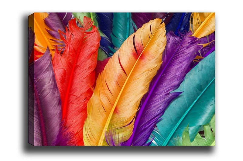 Lerretsbilde - Fargerike fjær i forskjellige nyanser, Rød / Lilla / Oransje