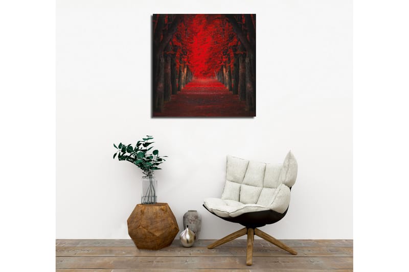 Lerretsbilde - Frodig allé med intenst røde trær i høstfarger - Rød / Svart - Innredning - Bilder & kunst - Lerretsbilder