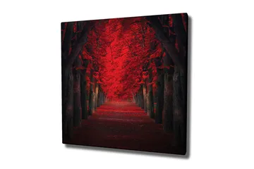 Lerretsbilde - Frodig allé med intenst røde trær i høstfarger - Rød / Svart - Innredning - Bilder & kunst - Lerretsbilder