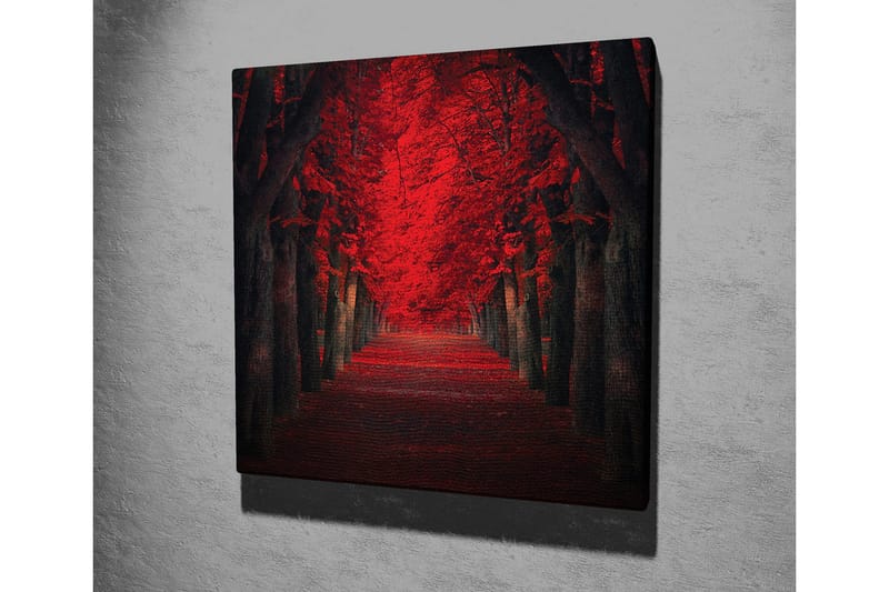 Lerretsbilde - Frodig allé med intenst røde trær i høstfarger - Rød / Svart - Innredning - Bilder & kunst - Lerretsbilder