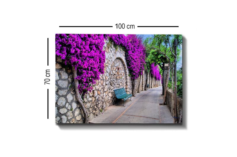 Lerretsbilde - Frodig gangvei omgitt av blomstrende bougainvillea - Lilla / Grå / Grønn - Innredning - Bilder & kunst - Lerretsbilder