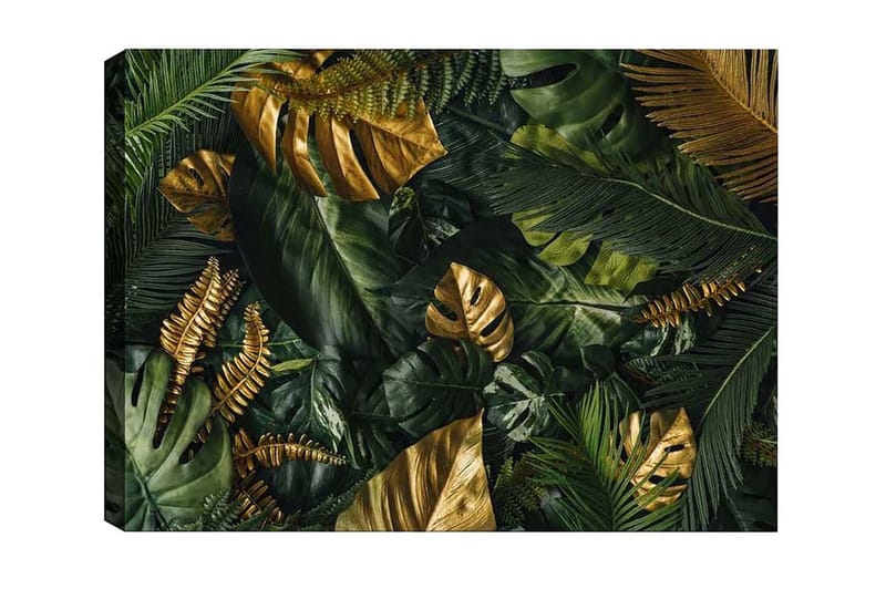 Lerretsbilde - Frodig samling av tropisk løvverk, Mørkegrønn / Gull / Lysegrønn
