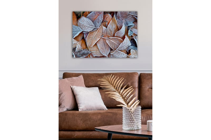 Lerretsbilde - Frosne høstblader i varme fargetoner - Oransje / Grå / Hvit - Innredning - Bilder & kunst - Lerretsbilder