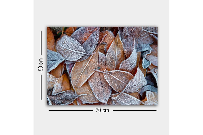 Lerretsbilde - Frosne høstblader i varme fargetoner - Oransje / Grå / Hvit - Innredning - Bilder & kunst - Lerretsbilder