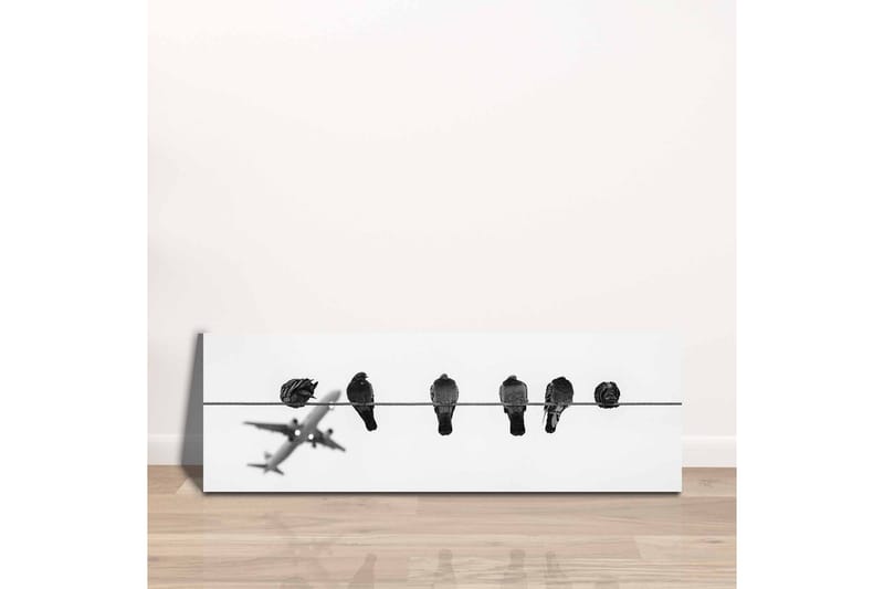 Lerretsbilde - Fugler på en wire med et fly i bakgrunnen - Svart / Hvit - Innredning - Bilder & kunst - Lerretsbilder