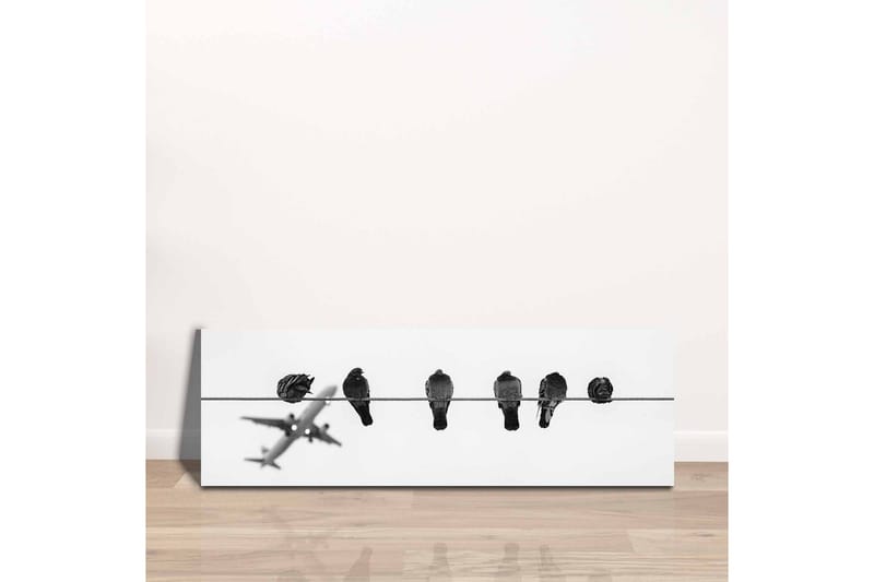 Lerretsbilde - Fugler på en wire med et fly i bakgrunnen - Svart / Hvit - Innredning - Bilder & kunst - Lerretsbilder