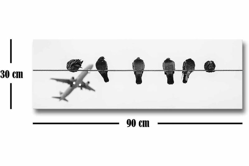 Lerretsbilde - Fugler på en wire med et fly i bakgrunnen - Svart / Hvit - Innredning - Bilder & kunst - Lerretsbilder
