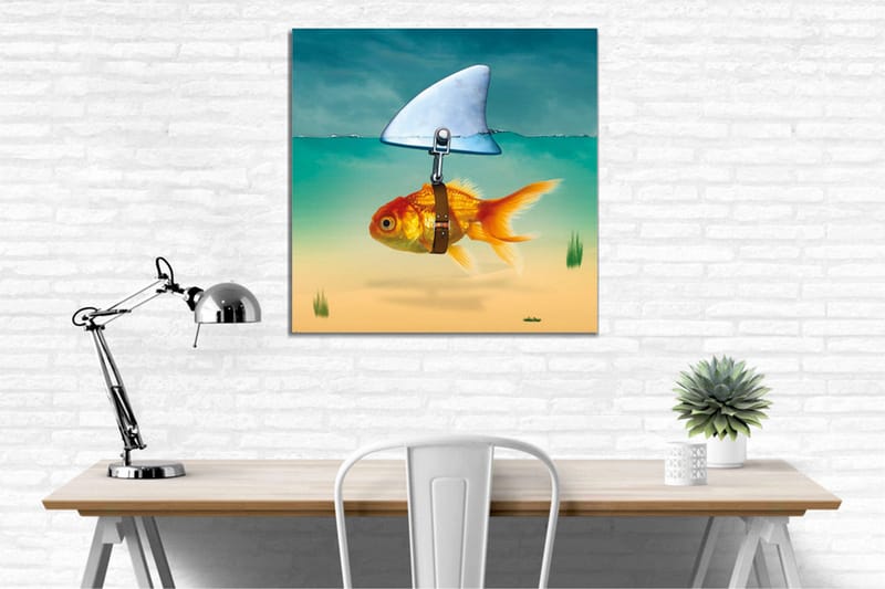 Lerretsbilde - Gullfisk med finne som svømmer i klart vann - Turkis / Oransje / Beige - Innredning - Bilder & kunst - Lerretsbilder