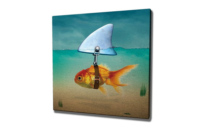 Lerretsbilde - Gullfisk med finne som svømmer i klart vann - Turkis / Oransje / Beige - Innredning - Bilder & kunst - Lerretsbilder