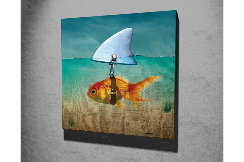 Lerretsbilde - Gullfisk med finne som svømmer i klart vann - Turkis / Oransje / Beige - Innredning - Bilder & kunst - Lerretsbilder