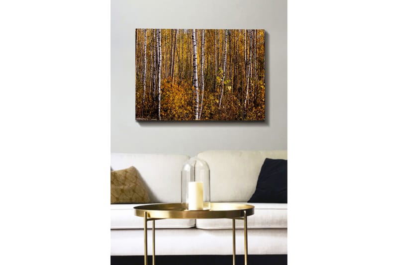 Lerretsbilde - Gyllen høstskog med bjørker - Gul / Hvit / Brun - Innredning - Bilder & kunst - Lerretsbilder