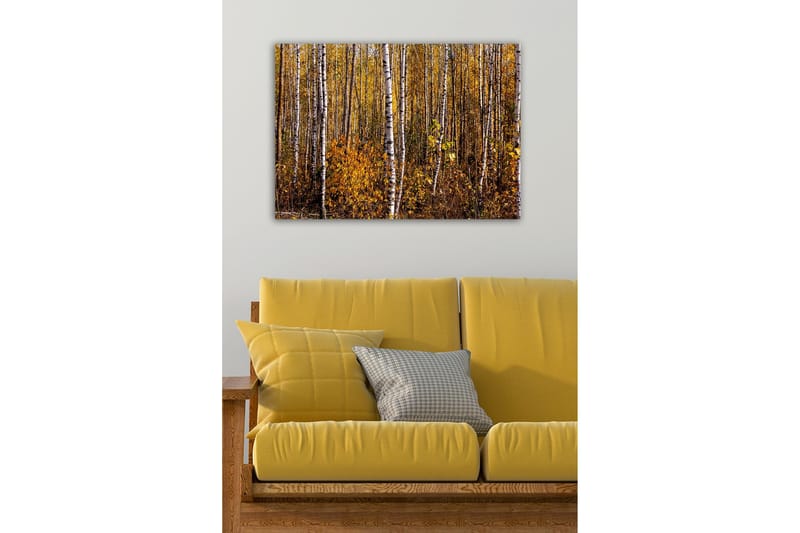 Lerretsbilde - Høstskog med bjørker og gylne blader - Gull / Hvit / Brun - Innredning - Bilder & kunst - Lerretsbilder