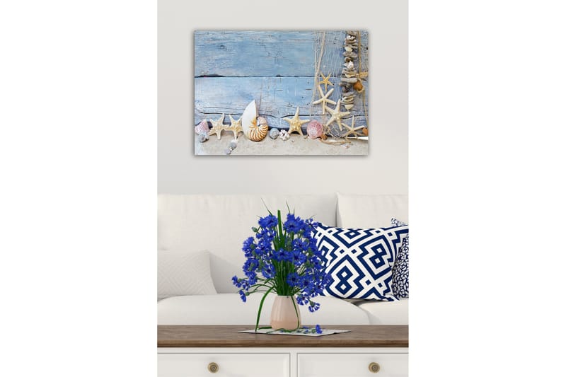 Lerretsbilde - Havinspirert samling av skjell og sjøstjerner - Blå / Beige / Hvit - Innredning - Bilder & kunst - Lerretsbilder