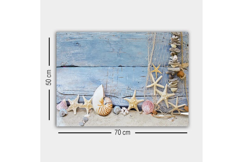 Lerretsbilde - Havinspirert samling av skjell og sjøstjerner - Blå / Beige / Hvit - Innredning - Bilder & kunst - Lerretsbilder