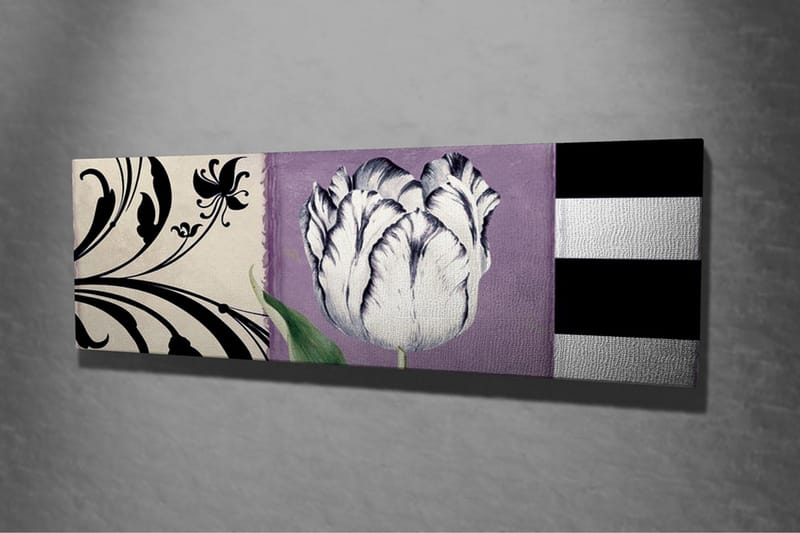Lerretsbilde - Hvit tulipan mot lilla bakgrunn - Hvit / Lilla / Svart - Innredning - Bilder & kunst - Lerretsbilder