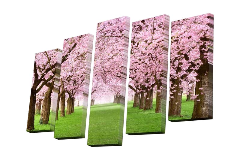 Lerretsbilde i 5 deler 82x50 cm - Vakker allé med kirsebærtrær i blomst - Rosa / Grønn / Brun - Innredning - Bilder & kunst - Lerretsbilder