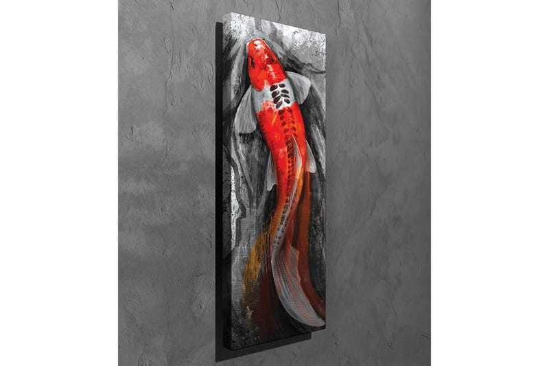 Lerretsbilde - Karpe med lys rød farge som svømmer i et dempet miljø - Rød / Svart / Grå - Innredning - Bilder & kunst - Lerretsbilder