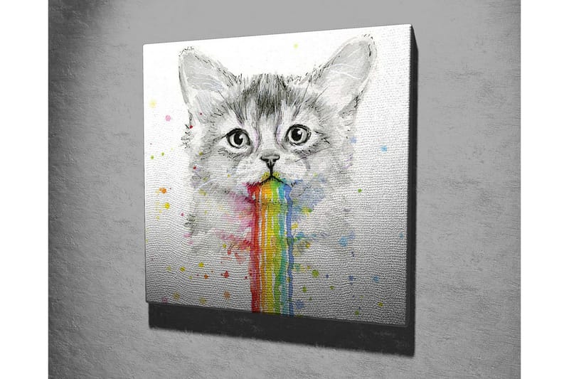 Lerretsbilde - Katt med regnbuefarget oppkast - Grå / Regnbue (rød / Oransje - Innredning - Bilder & kunst - Lerretsbilder