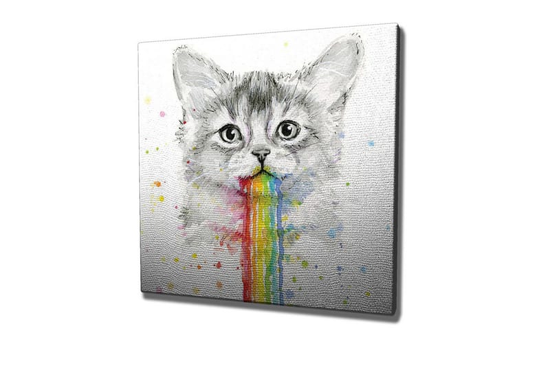 Lerretsbilde - Katt med regnbuefarget oppkast, Grå / Regnbue (rød / Oransje